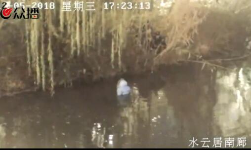 暖心一幕：老人落水大明湖 安保队长飞身跳水救人
