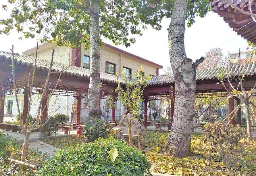 颗颗绿钻镶嵌济南城 全市今年累计拆违建绿93.45 万平方米