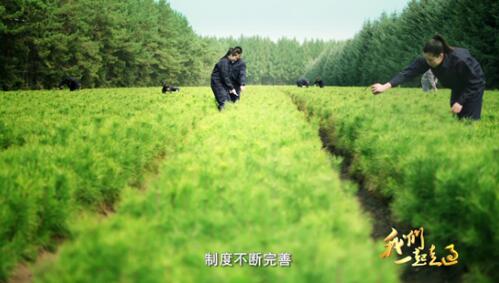 4分钟速览:大型电视纪录片《我们一起走过》第十三集、第十四集