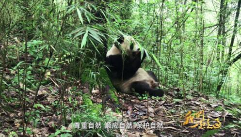 4分钟速览:大型电视纪录片《我们一起走过》第十三集、第十四集