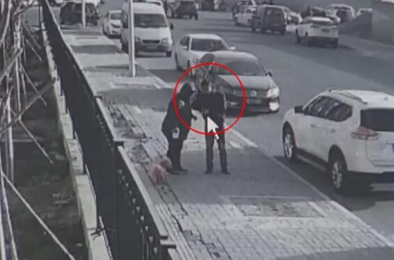 还有这种操作?碰瓷遛狗人真相始末 已成功作案20起专找中老年人