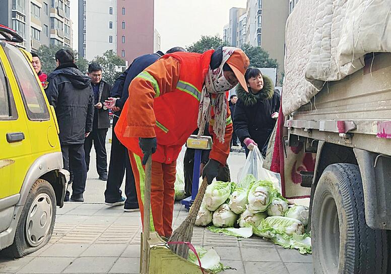 便民更惠农!白菜直销点销售火爆 菜农收入至少翻倍
