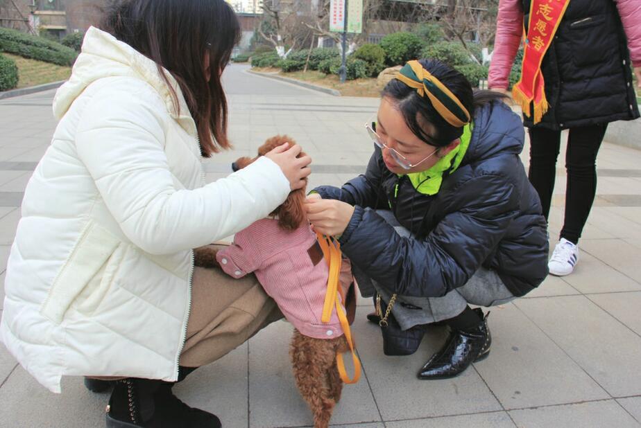 [创文明城市]兴福街道发出倡议书 让文明养犬成为习惯