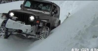 这就是真相！大雪封山救我狗命究竟是怎么回事?