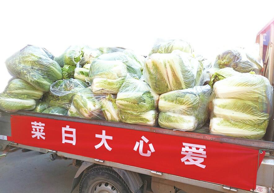 [创文明城市]天桥区渣土运输单位连续9年的慈善义举 万余公斤白菜送给环卫工