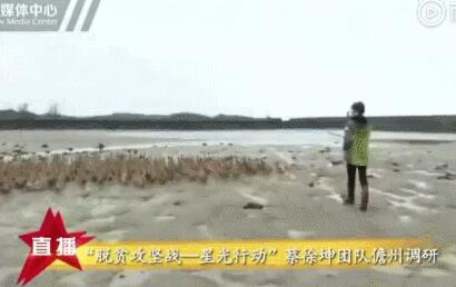 求生欲满分？粉丝把鸭蛋买脱销一句话耿直回应 “赶鸭子卖鸭蛋”什么梗?