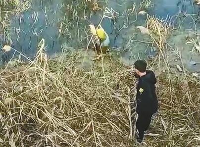 有人意外落水！“智”救坠湖男 五初中生想了个“骗局”