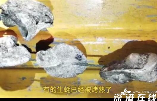 烤生蚝能吃吗?20余吨生蚝变烤蚝怎么回事?连使刹车车轮高温着火!