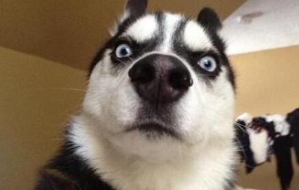 到底犯了什么错？不发朋友圈被辞退是怎么回事？真相曝光网友炸锅