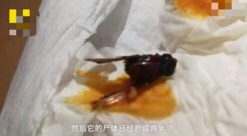 真相令人作呕！卫龙辣条吃出虫子 网红界扛把子的卫龙辣条还敢吃吗
