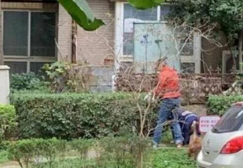 什么情况？女生深夜遭犬猛咬 腰部、大腿等三处被咬的惨不忍睹