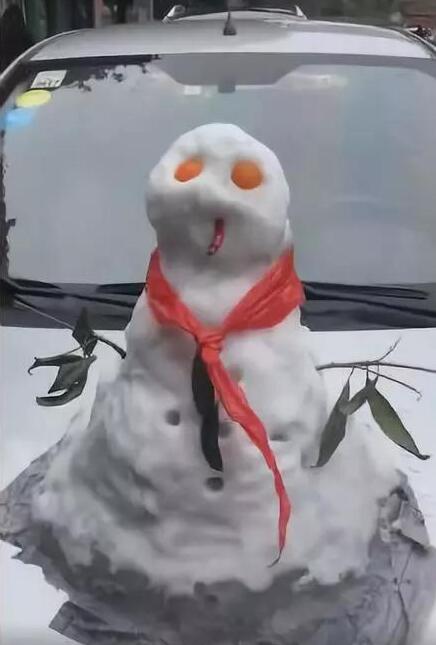 成都大妈街头卖雪20元一桶 网友:我错过了一个亿