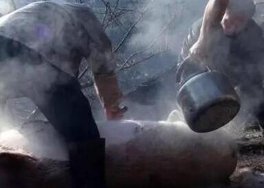 真相曝光震惊了!村民吃庖汤肉身亡是怎么回事?死因背后详情始末曝光