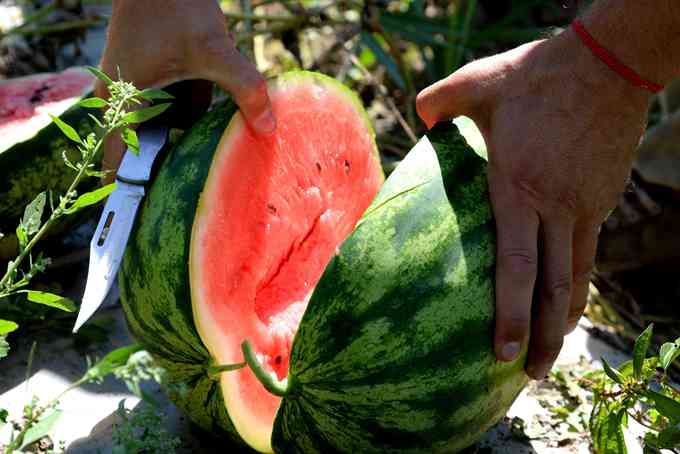 真相来了！仙女寝室已被整改是怎么回事?还有多少大学生如此缺乏安全意识