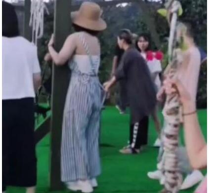 这就是真相！网友偶遇杨紫是怎么回事?背后原因详情始末惊呆网友