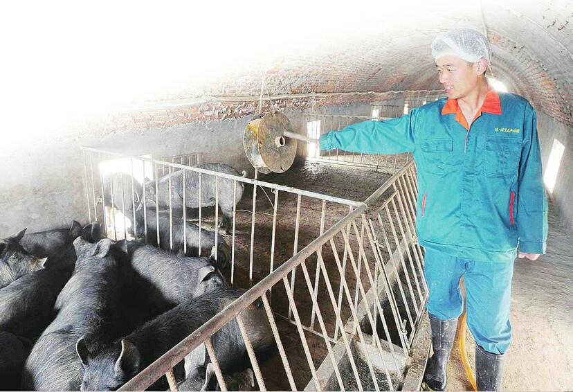 济南农村青年“领头雁”助推乡村振兴——济南团市委青春扶贫工作纪实