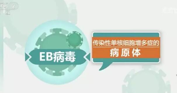 “EB流感”来了？10分钟入体？疾控中心回应了