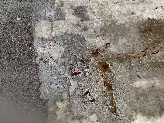 这就是真相！男子倒车碾死自己是怎么回事?背后真相详细始末令人唏嘘