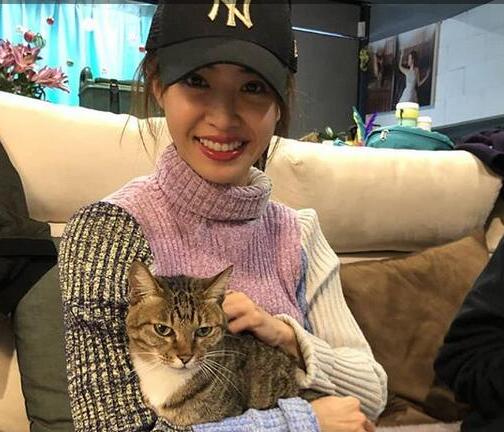 终于真相了!蔡依林为爱犬庆生是怎么回事?背后原因详情始末震惊网友