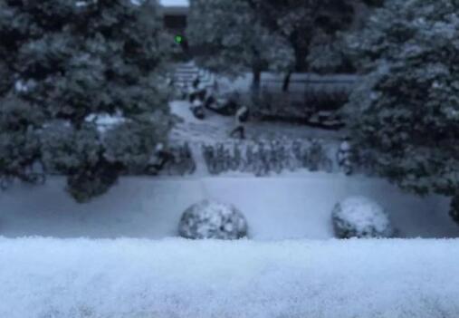 真相曝光哭笑不得！下雪兴奋成面瘫是怎么回事？还原详情始末真相震惊了 