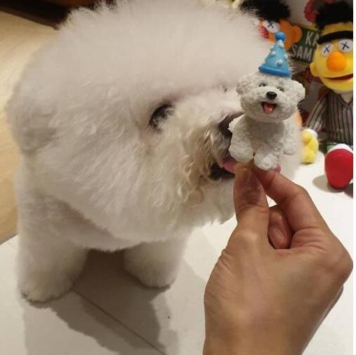 这就是真相！蔡依林为爱犬庆生是怎么回事?还原背后详情哭笑不得