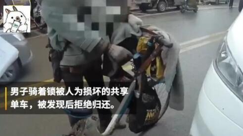 终于真相了?骑共享单车过年是怎么回事?背后原因详情始末曝光哭笑不得