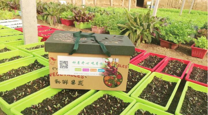 连夜搭篷房 排练备货忙！济南泉城广场“迎春大集”即将启幕