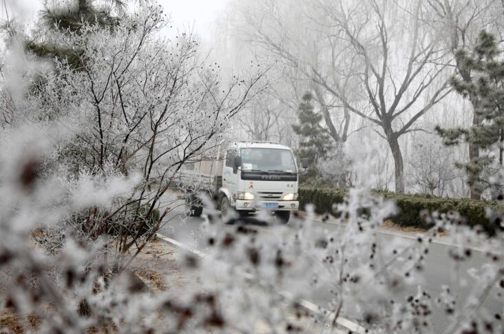 济南百里黄河现雾凇美景