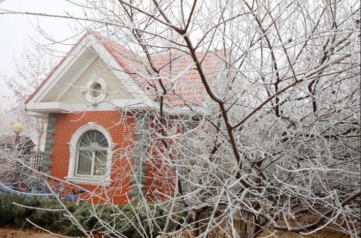 济南百里黄河现雾凇美景