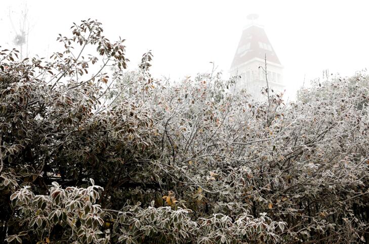 济南百里黄河现雾凇美景