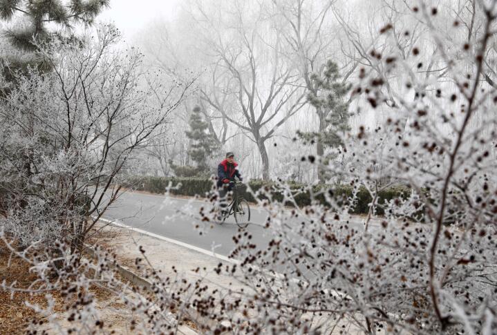 济南百里黄河现雾凇美景