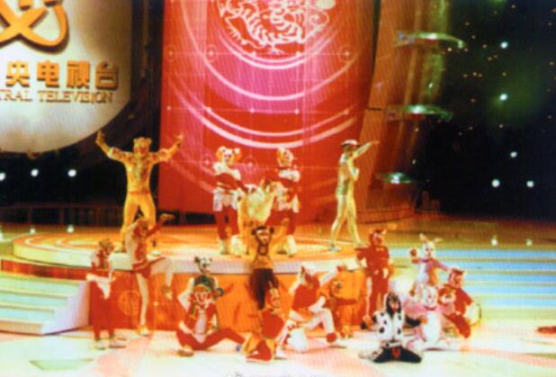 终于真相了!塔沟武校参加春晚是怎么回事?背后原因及详情始末曝光