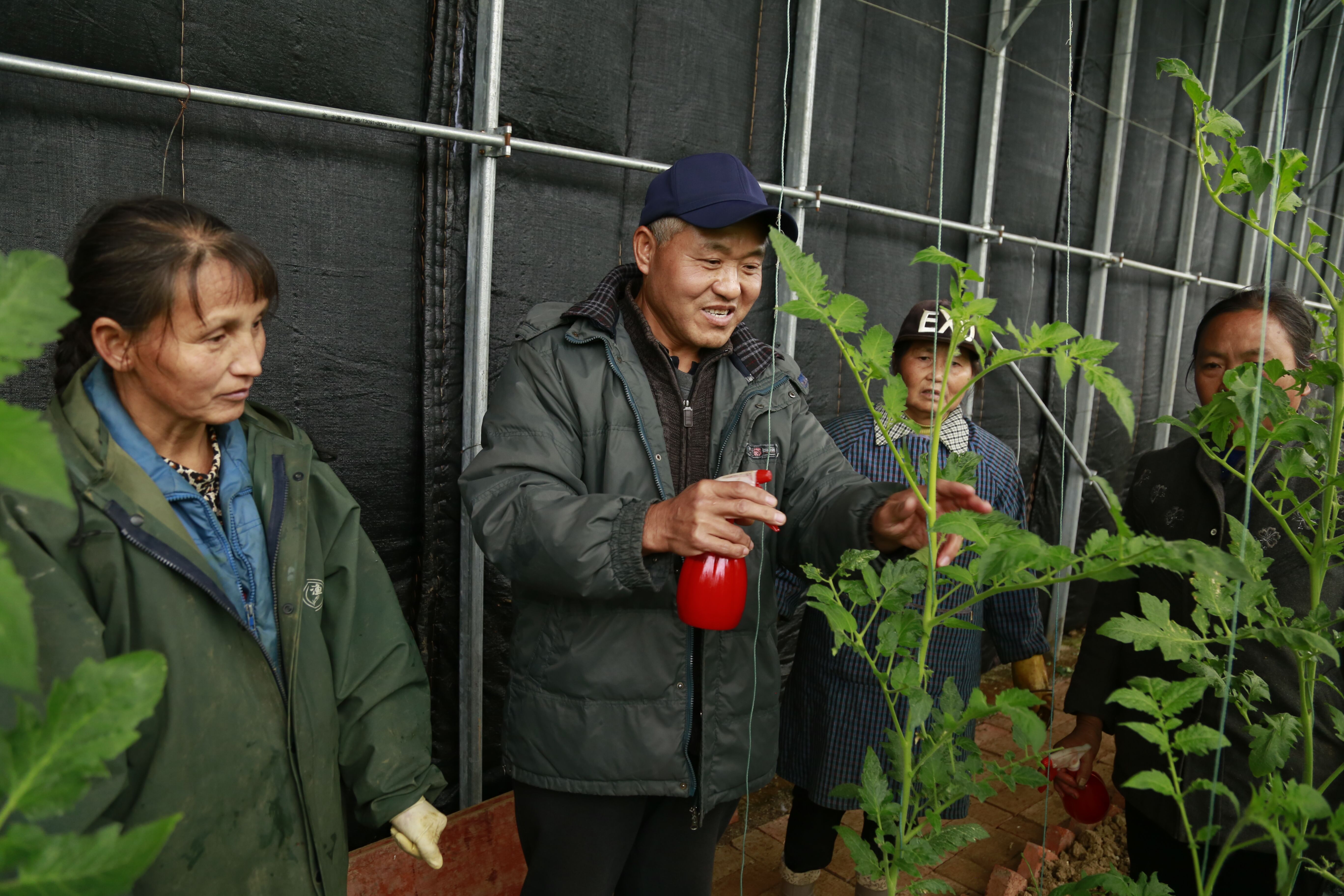 济南“老张”的扶贫故事：湘西来了个农民技术员