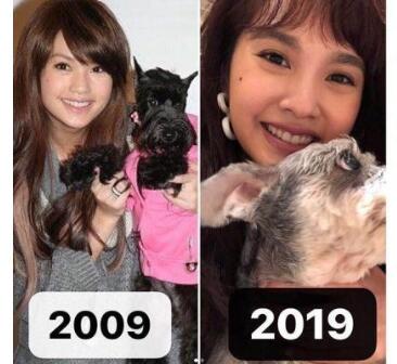 终于真相了!十年对比挑战是怎么回事?还原背后原因详情始末心酸泪目