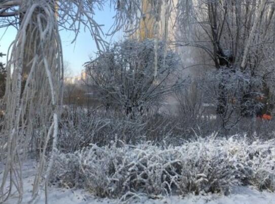 终于真相了!山西小区人工造雪是怎么回事?背后原因详情始末网友震惊
