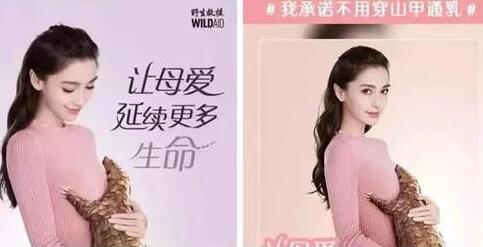 杨颖拍广告帮倒忙 大家都知道满世界找穿山甲吃了