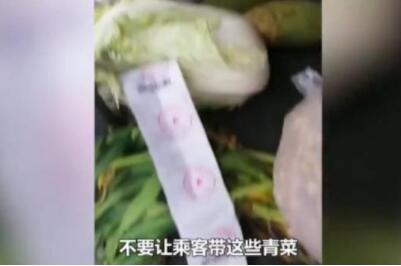 罚款经济要不得！乘客带白菜萝卜上大巴车被罚200元 交警回应