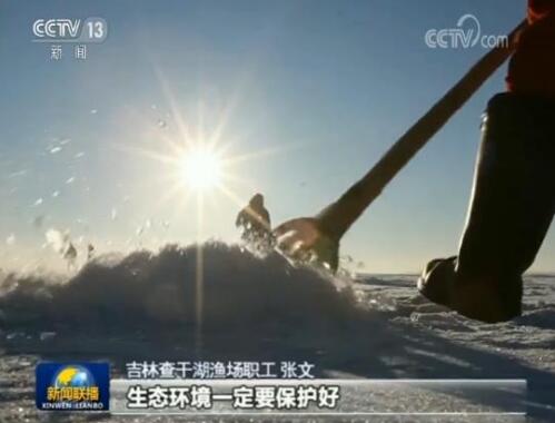 【总书记的牵挂·一枝一叶总关情】查干湖温暖的冬天