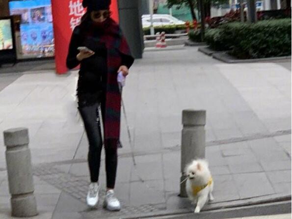 张馨予孕肚首曝光 只胖肚子不丑脸?遛个狗也是迷人的小仙女