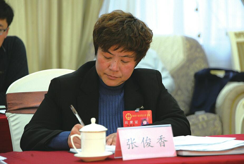 两会代表委员：认真履职 积极建言