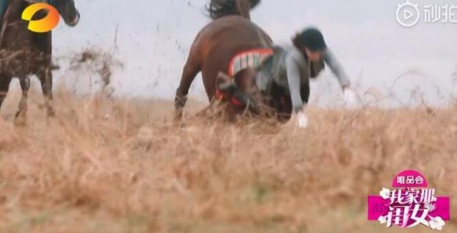 傅园慧坠马:眼睛失明了15分钟  亲眼看到这一幕的傅园慧爸爸疼哭了