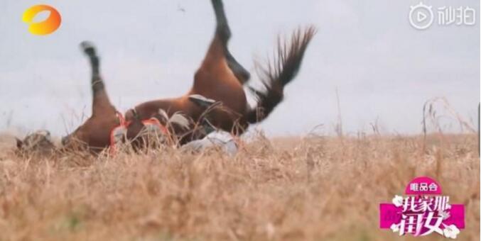 傅园慧坠马:眼睛失明了15分钟  亲眼看到这一幕的傅园慧爸爸疼哭了