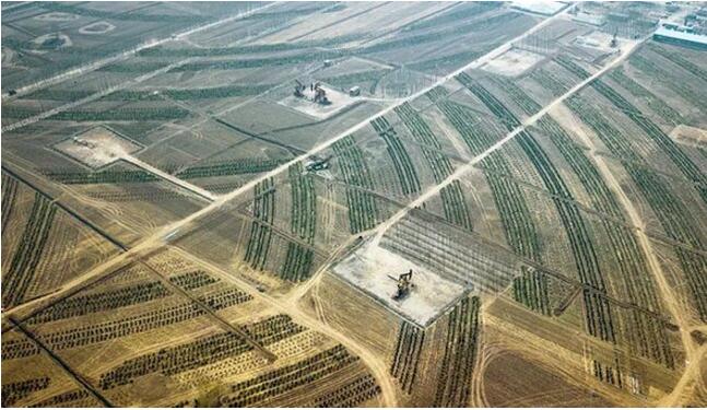 春节是什么颜色？他们的答案或许有些不同