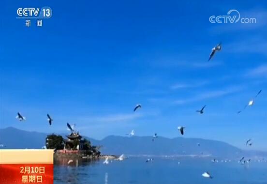 故事丨爱吃臭豆腐的英国插画师万哲生“嫁”在了大理苍山洱海