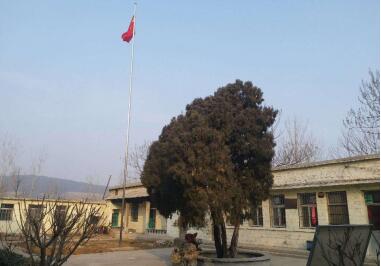 【新春走基层】玫瑰镇赵台村里的“第一书记”