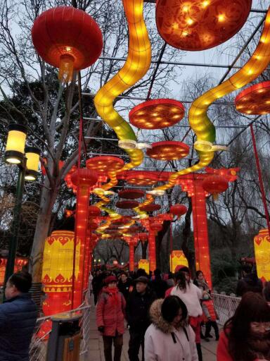 【新春走基层】记者探访趵突泉公园 赏花灯过大年!