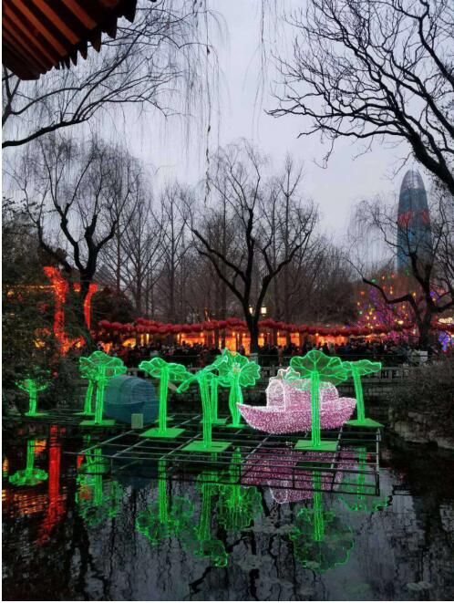 【新春走基层】记者探访趵突泉公园 赏花灯过大年!