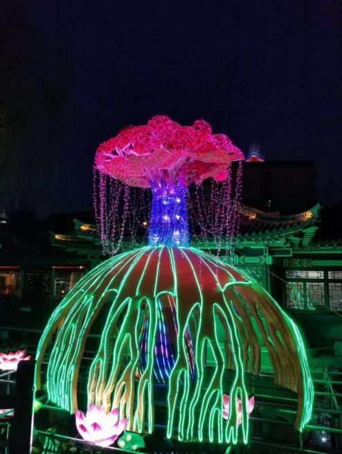 【新春走基层】记者探访趵突泉公园 赏花灯过大年!