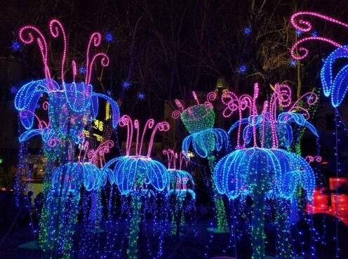 【新春走基层】记者探访趵突泉公园 赏花灯过大年!