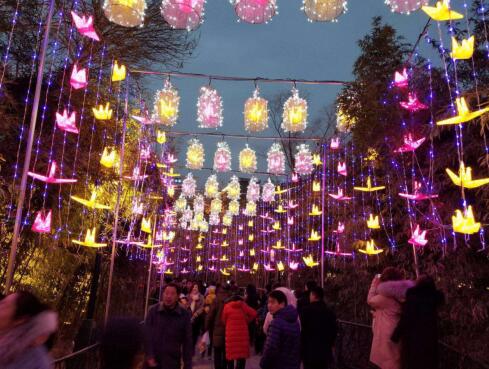 【新春走基层】记者探访趵突泉公园 赏花灯过大年!